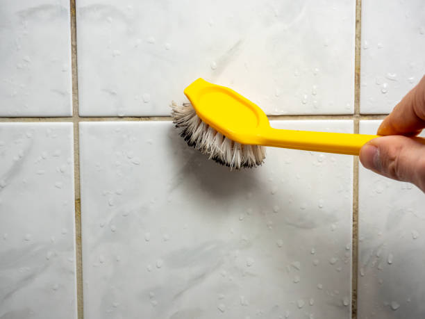 Best Certified Mold Removal  in Lamar, MO