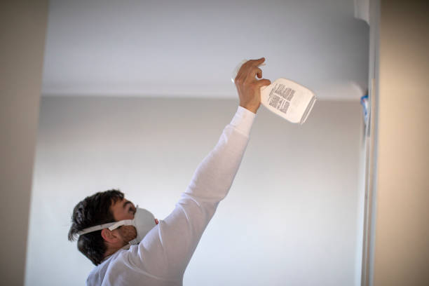 Home Mold Removal in Lamar, MO