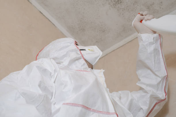 Lamar, MO Mold Removal Company